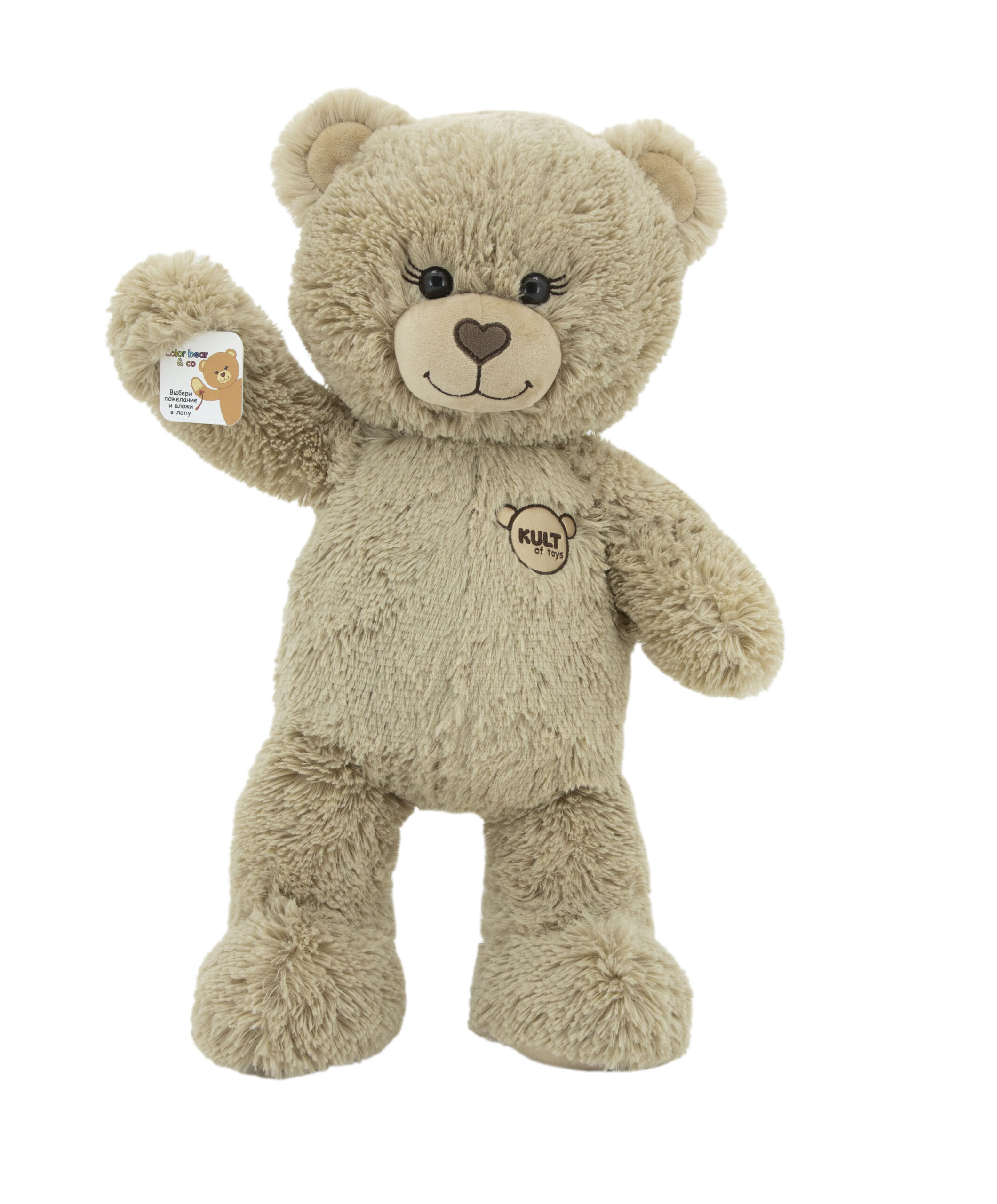Color Bear